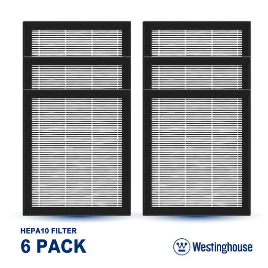 Westinghouse HEPA Filter (HEPA10x6)